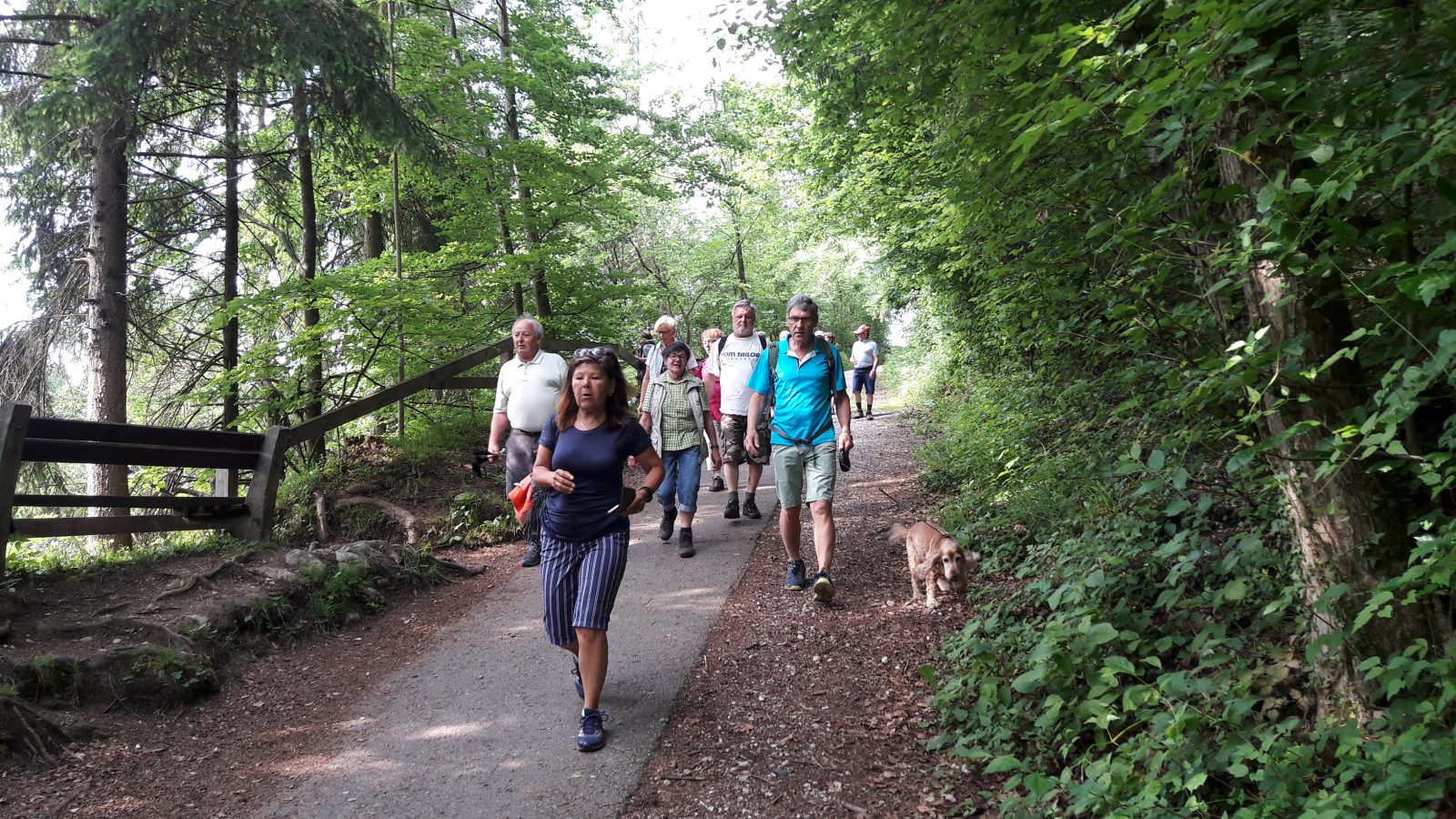 Herrliche Wanderung der Traun entlang | SPÖ Bad Wimsbach